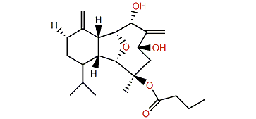 Litophynol A